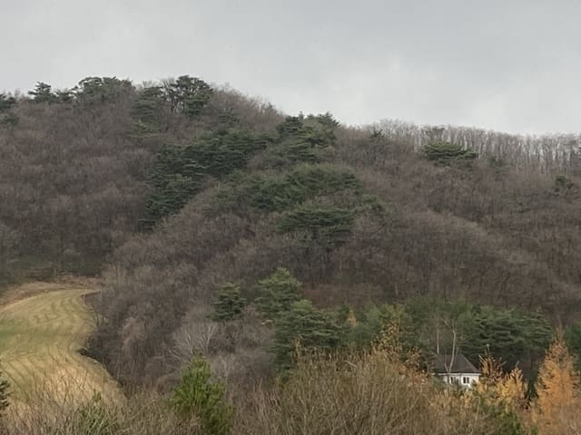 B000264202401300018884.jpg