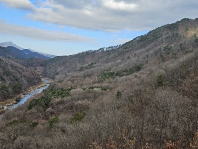 B000264202401300020653.jpg