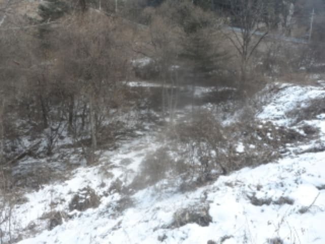 B000264202401300022491.jpg