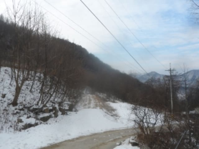 B000264202401300022494.jpg