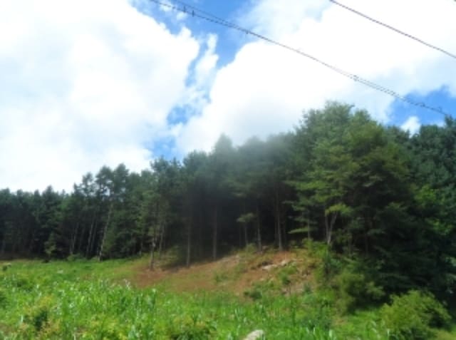 B000264202401300319404.jpg