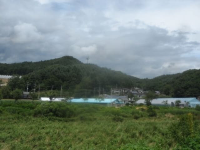 B000264202401300319402.jpg