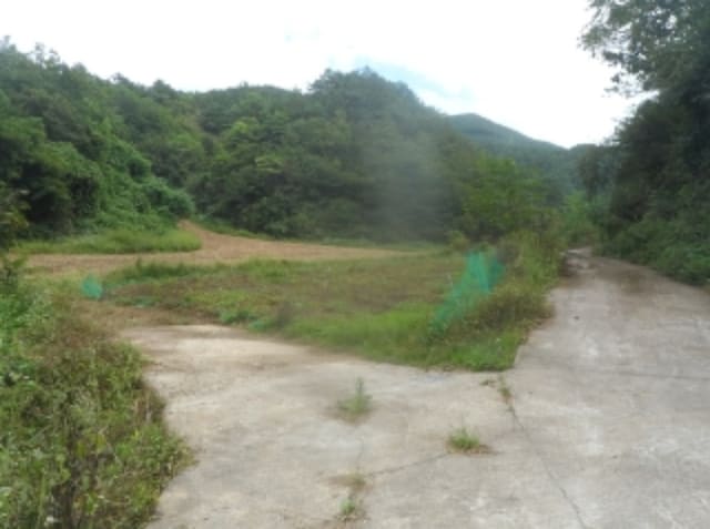 B000264202401300323943.jpg