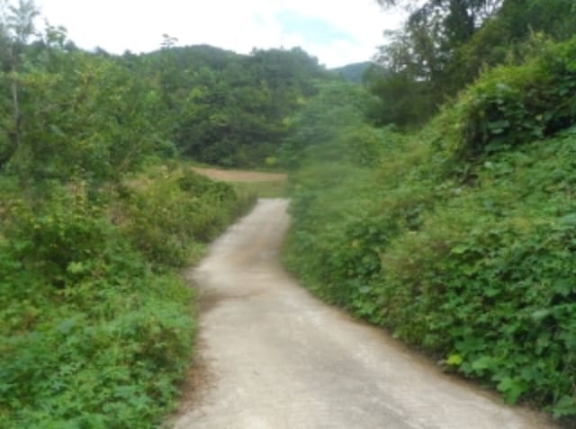 B000264202401300323942.jpg