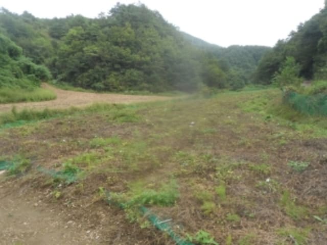 B000264202401300323944.jpg