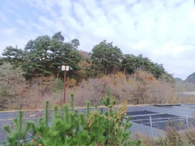 B000264202401300325091.jpg
