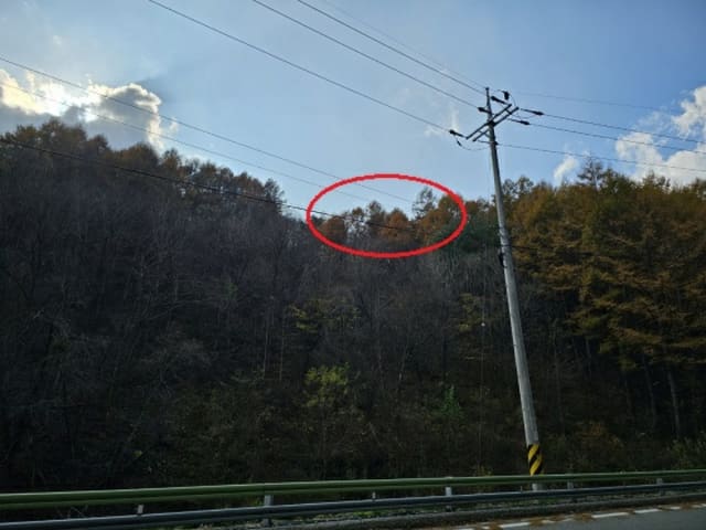 B000264202401300327384.jpg