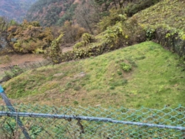 B000264202401300327902.jpg