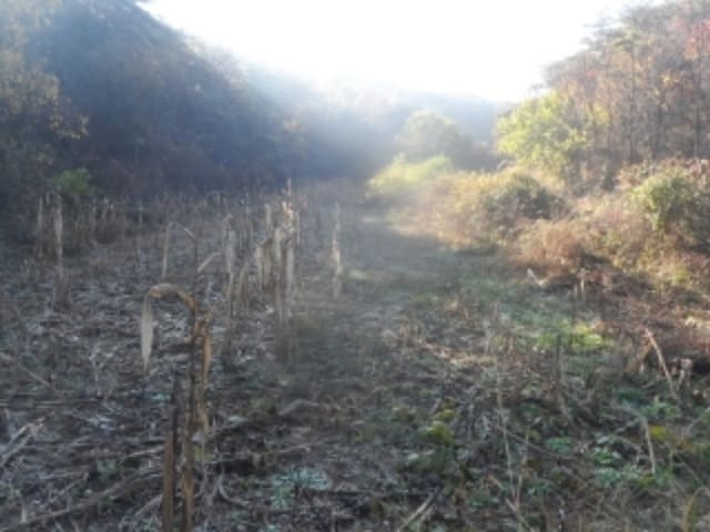B000264202401300327904.jpg