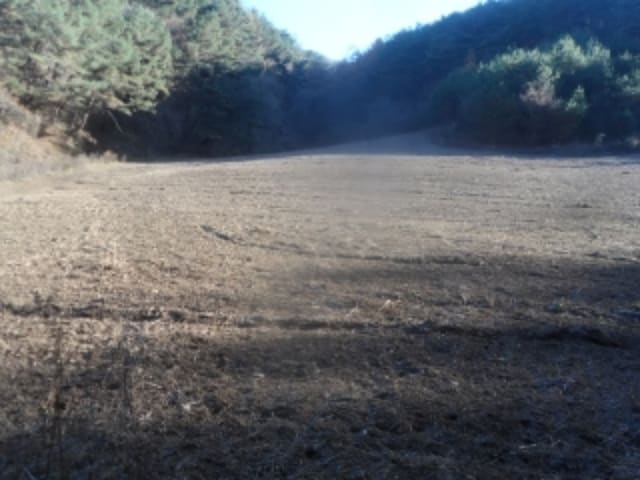 B000264202401300330523.jpg