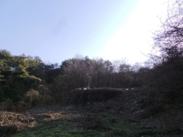 B000264202401300334272.jpg