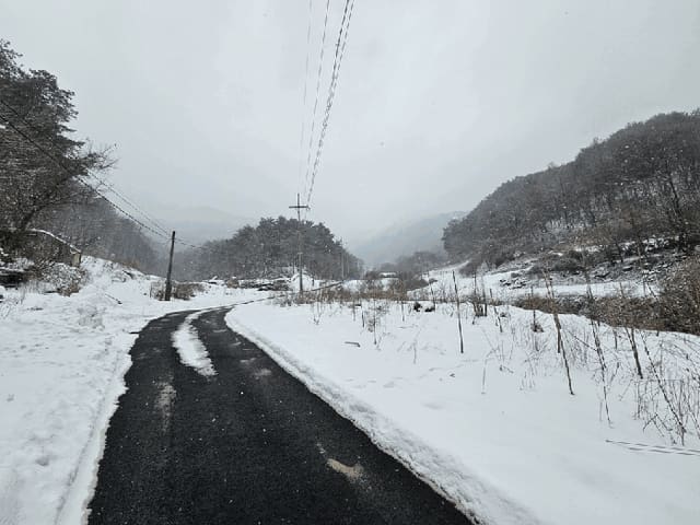 B000264202501300001414.jpg