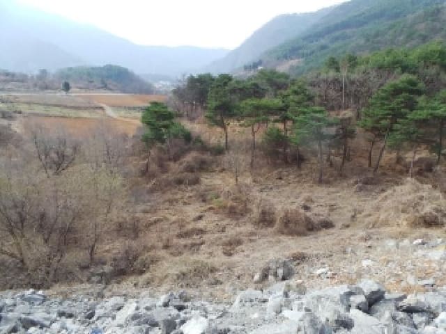 B000264202501300003702.jpg
