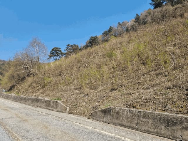 B000264202501300005923.jpg