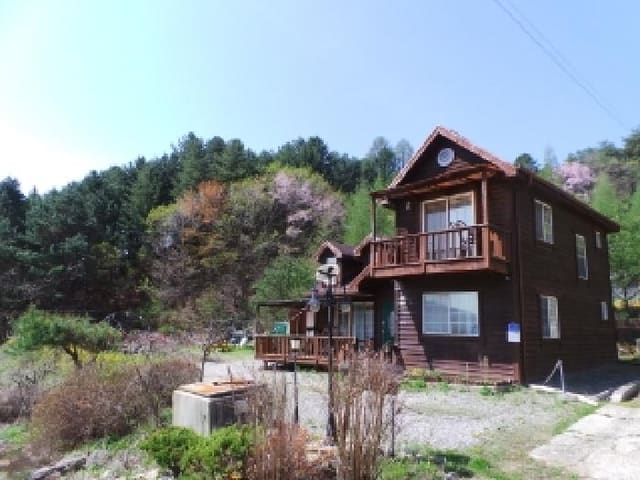 B000264202501300006083.jpg