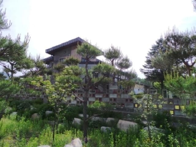 B000264202501300007691.jpg