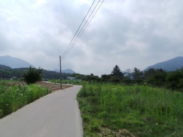 B000264202501300007834.jpg