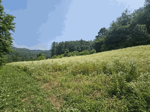 B000264202501300009674.jpg