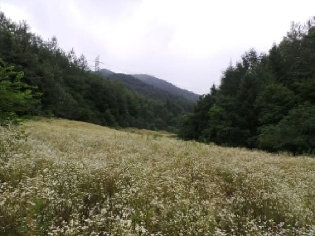 B000264202501300009673.jpg