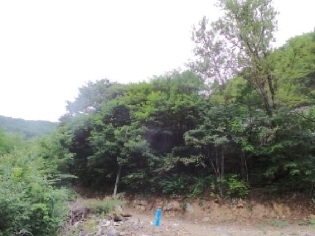 B000264202501300012673.jpg