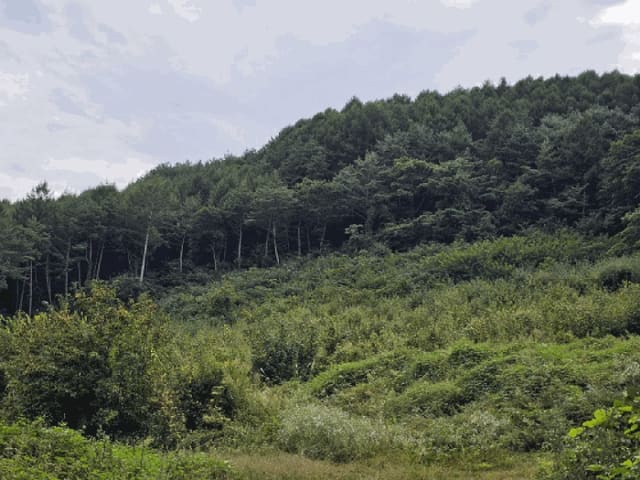 B000264202501300013114.jpg