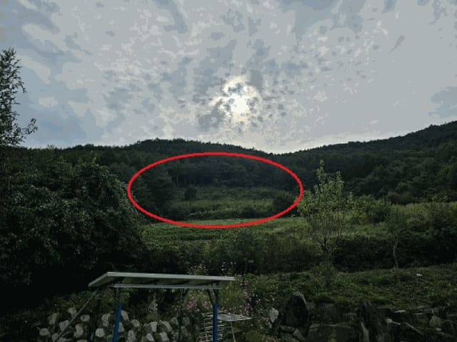 B000264202501300013113.jpg