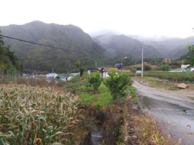 B000264202501300013973.jpg