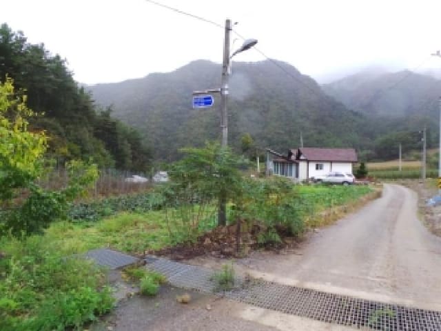 B000264202501300013974.jpg