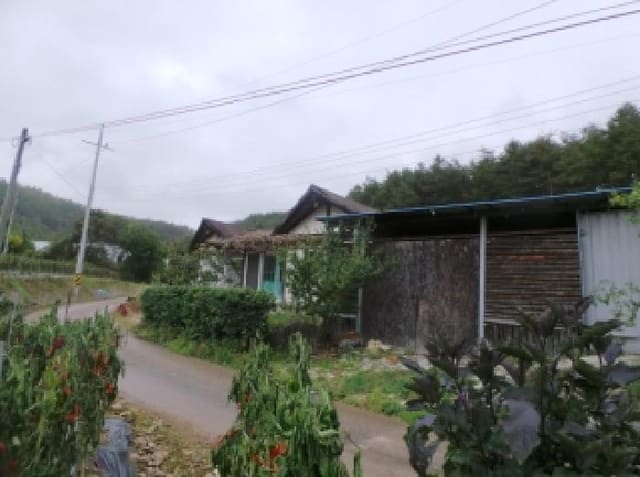 B000264202501300013972.jpg