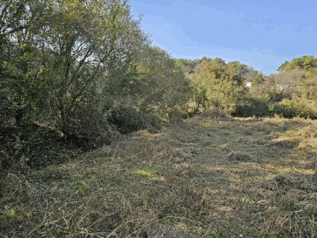 B000264202501300014274.jpg