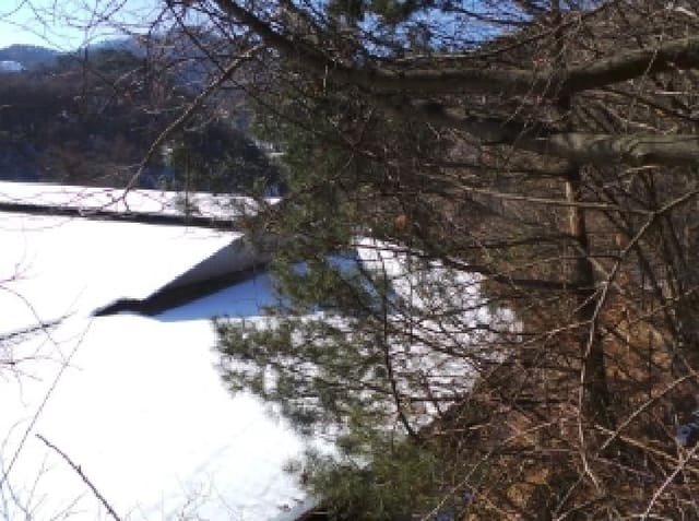 B000264202501300300121.jpg