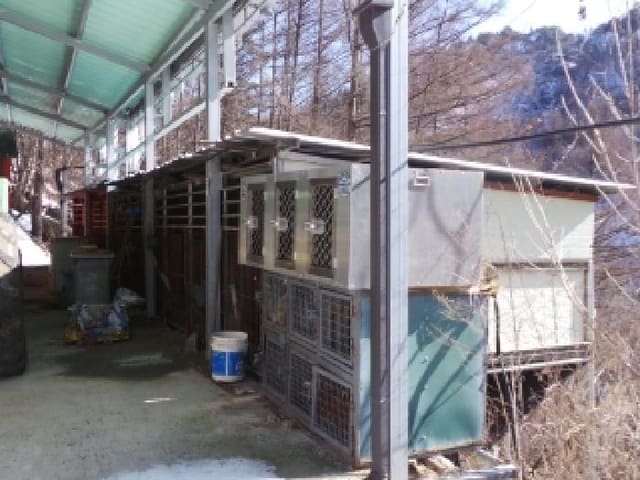 B000264202501300300124.jpg