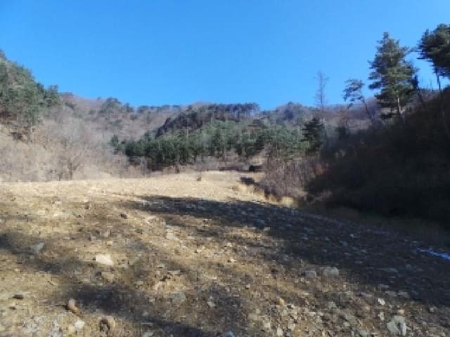 B000264202501300300982.jpg