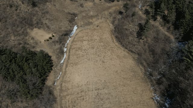 B000264202501300300984.jpg