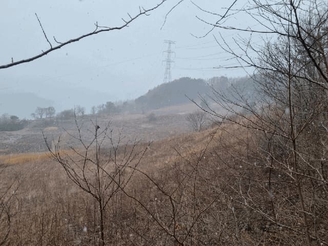 B000264202501300302967.jpg