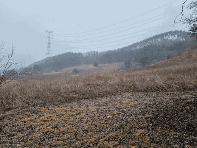 B000264202501300302968.jpg