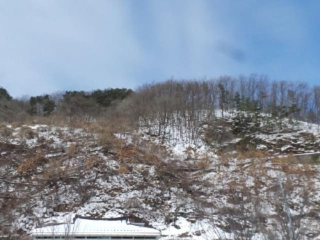 B000264202501300303671.jpg