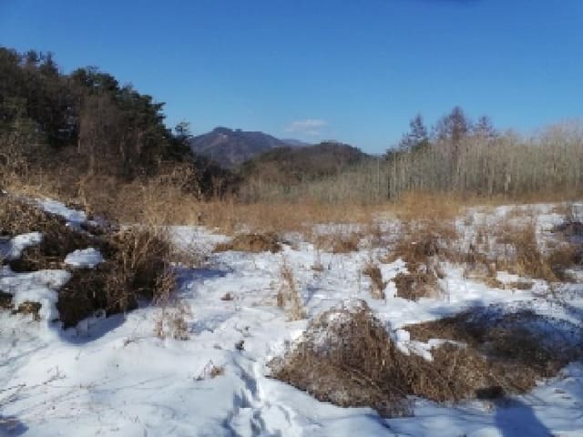 B000264202501300303691.jpg