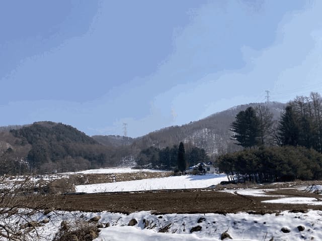 B000264202501300303754.jpg