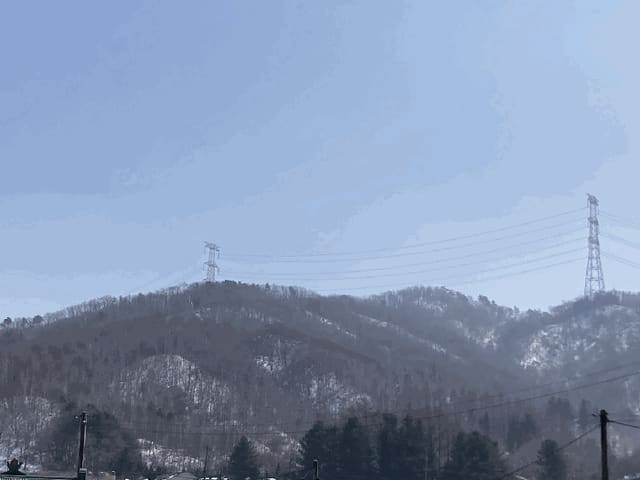 B000264202501300303753.jpg