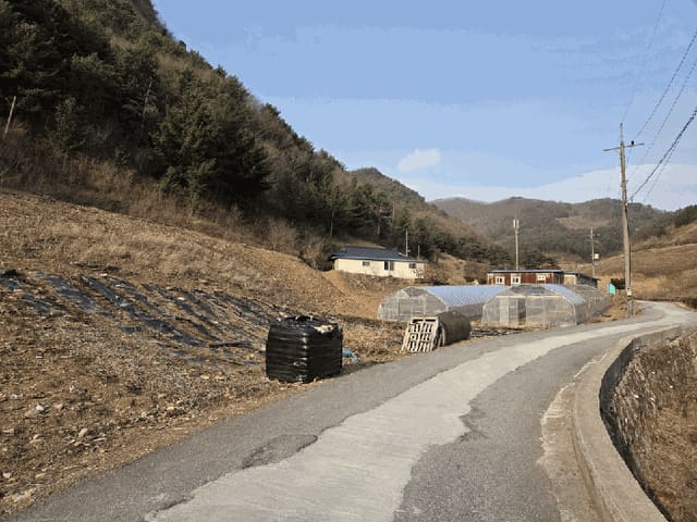 B000264202501300303874.jpg