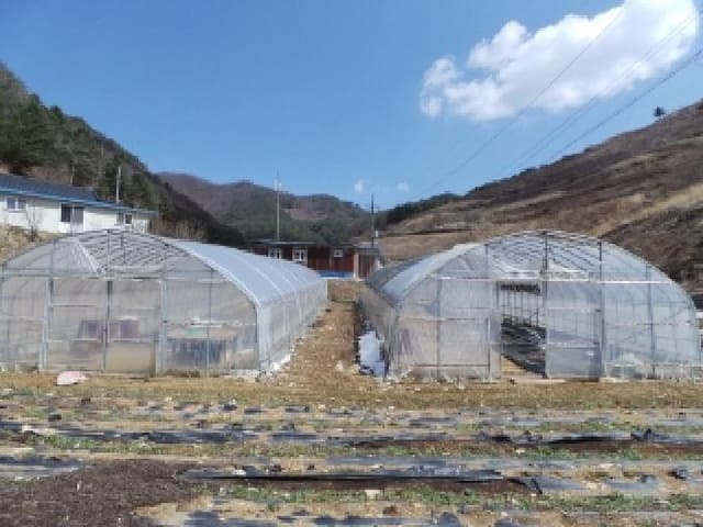 B000264202501300303871.jpg