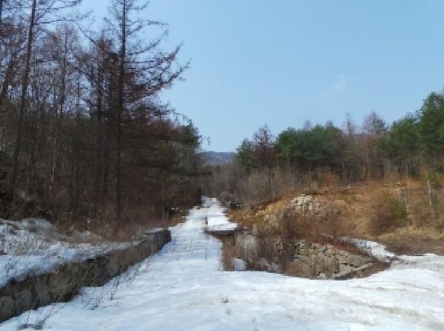 B000264202501300303903.jpg