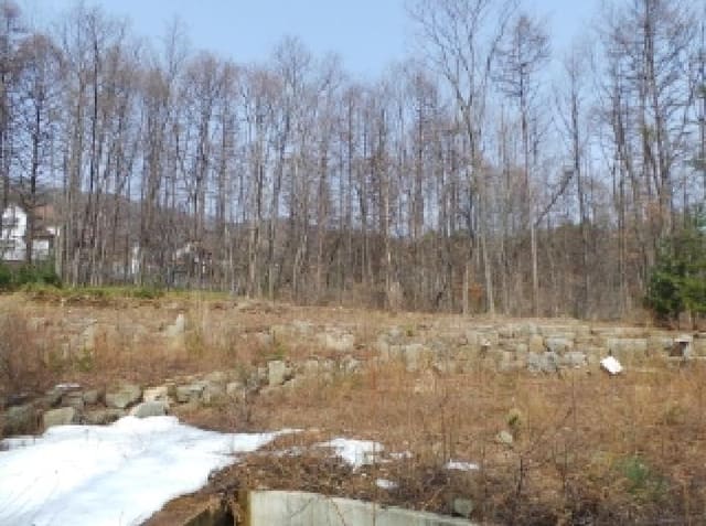 B000264202501300303901.jpg