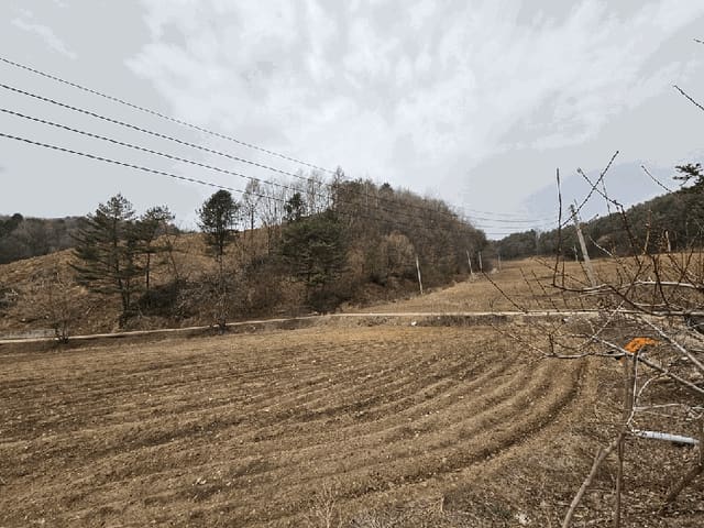 B000264202501300303931.jpg