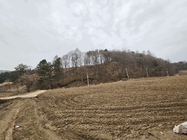 B000264202501300303934.jpg