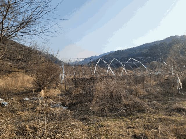 B000264202501300304037.jpg