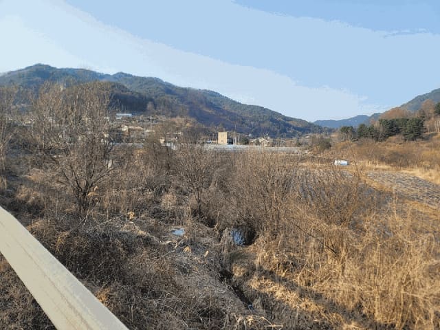 B000264202501300304036.jpg
