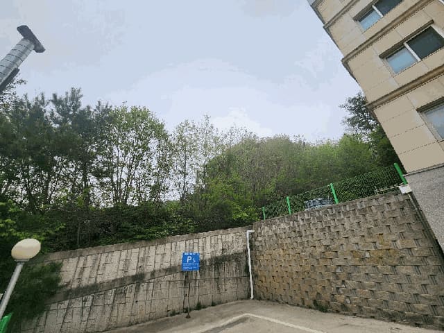 B000264202501300304123.jpg