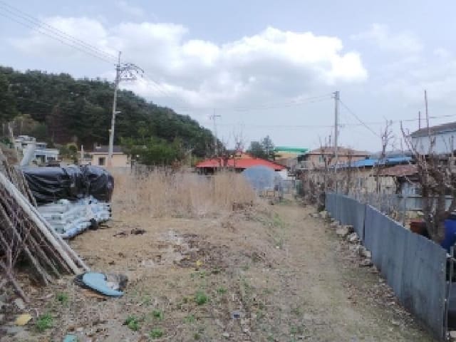 B000264202501300304131.jpg